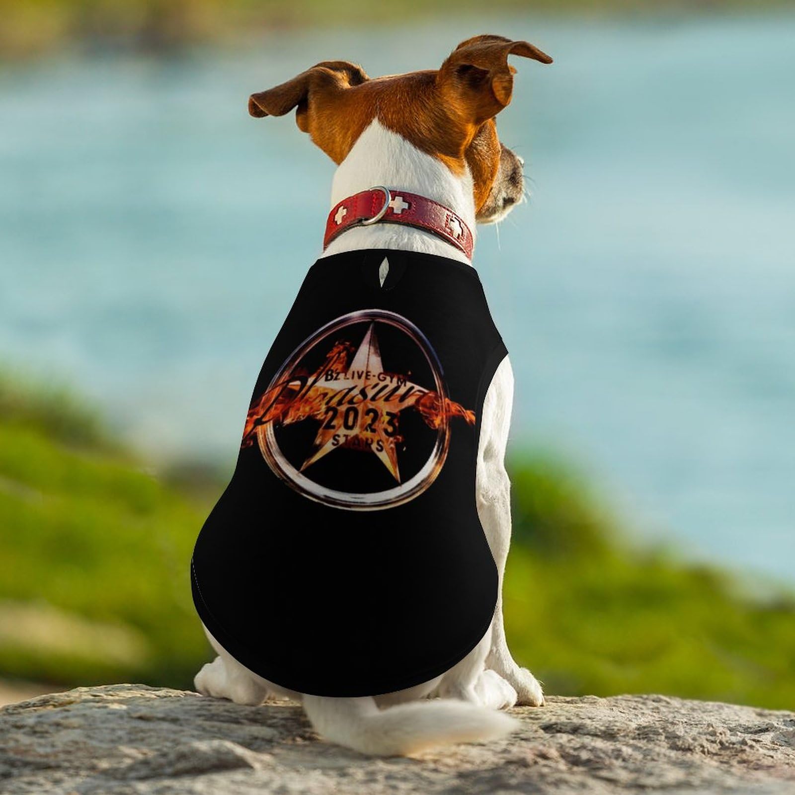 Amazon | ペット服 犬服 B'z ロックバンド Tシャツ ドッグウェア 袖