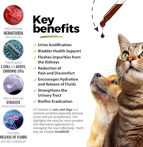 Miniatura 10 de UroMAXX Fórmula de tracto urinario riñón y vejiga para gatos y perros botella de 6 onzas