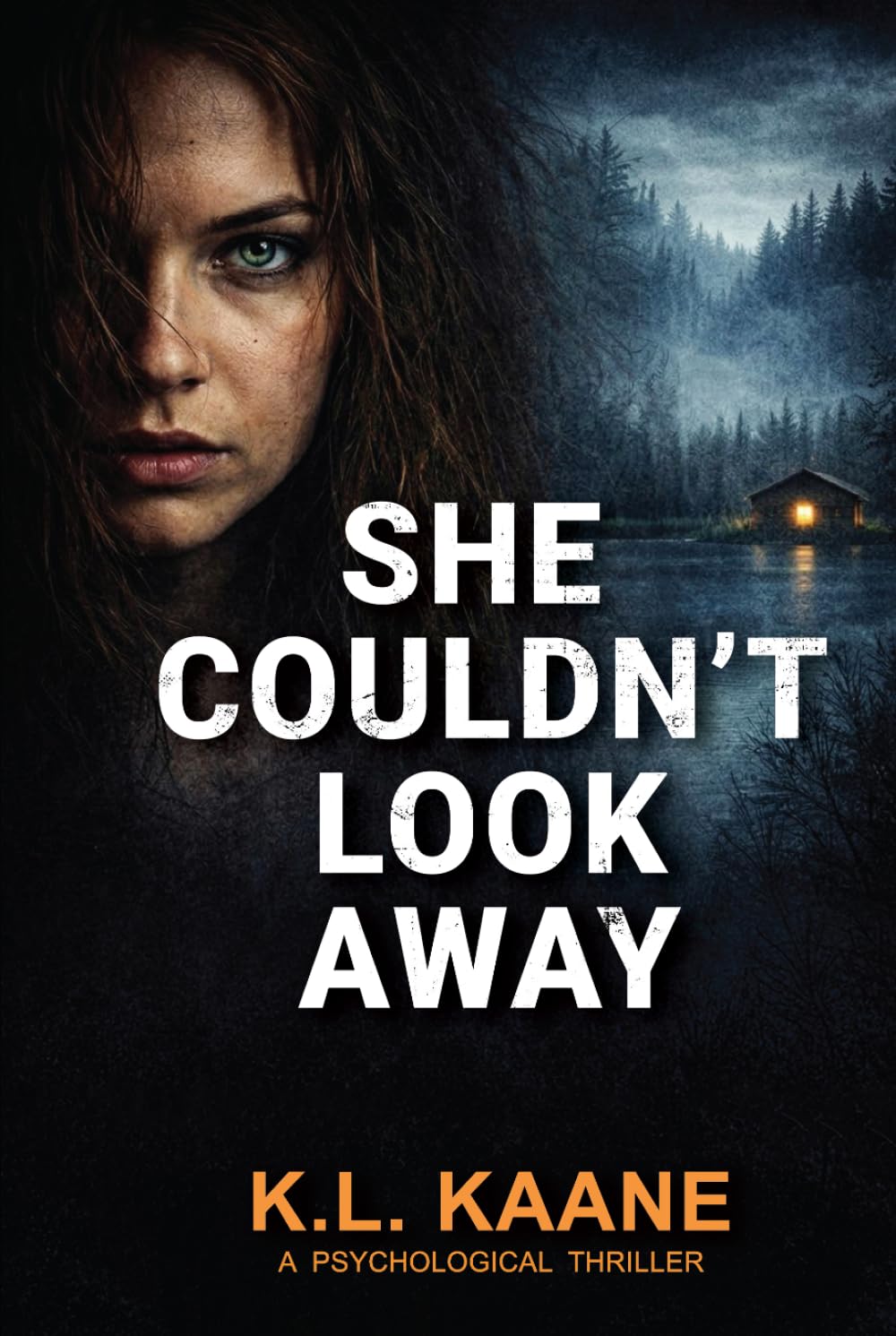 She Couldn't Look Away (Summit Falls Series)