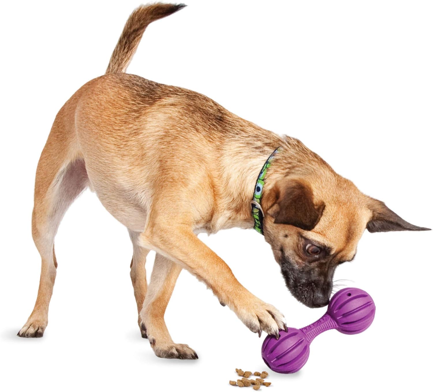 Pet Supplies Pet Chew Toys PetSafe Busy Buddy Waggle Treat