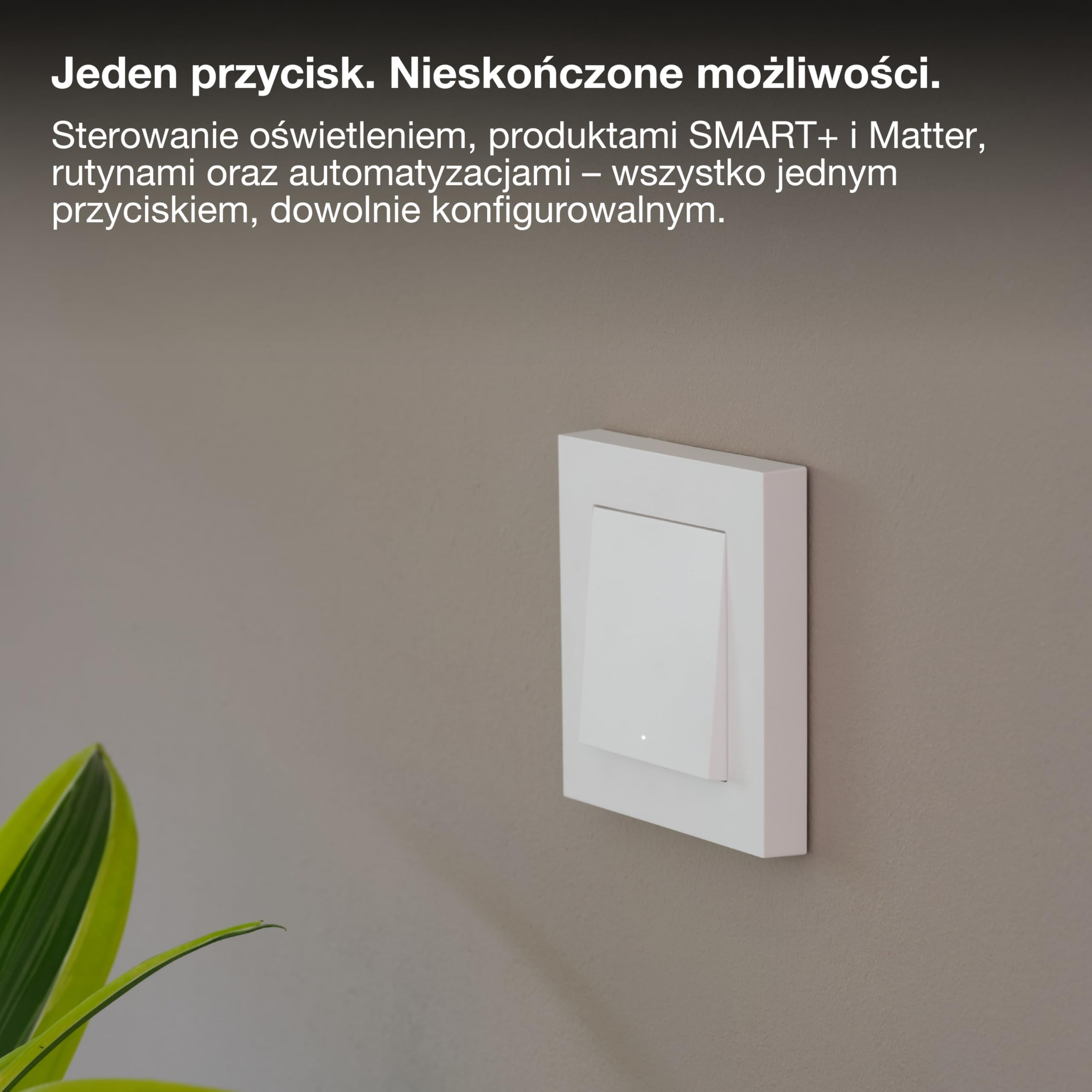 SMART+ WIFI MATTER WALL SWITCH 1 Channel