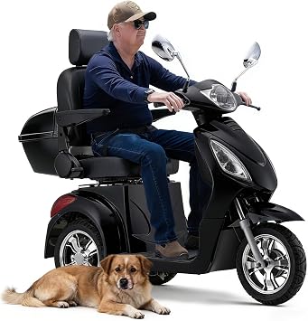 Super Large Electric 3 Wheel Mobility Scooters, Heavy Duty 800W Wheelchair Device, 25 Miles Long Range, All Terrain Mobility Scooter,Speed Adjust, Remote Key,Receive Ready to Ride 3 Wheel -Black