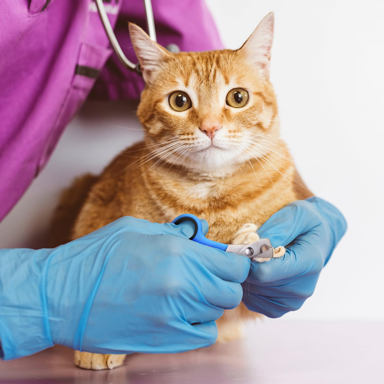 9-teiliges Katzen-Badetaschen-Set, Duschtasche, Anti-Biss und Kratzer für Haustierpflege, Waschkamm, Maulkorb, Nagelknipser, Nagelfeile, Zeckenwerkzeug (Himmelblau)
