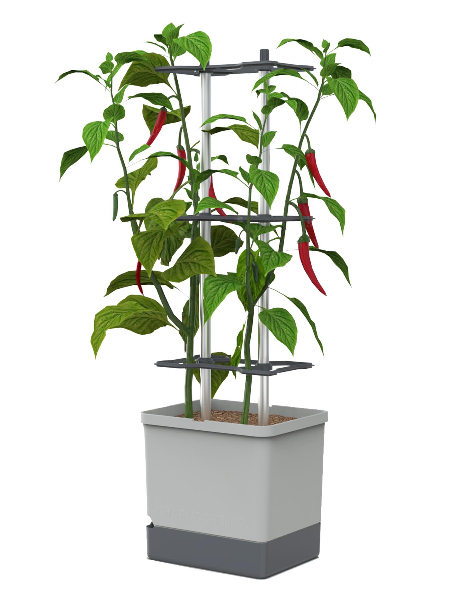 Rackhams Light/Grey Charly Chili Chili Pot With Water Tank & Climbing System - 20 Litres