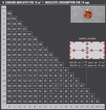 Raimondi RLS Vite Leveling System Cap 300Pc