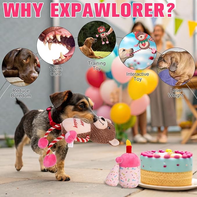 Juguete Mordible y Sonoro para Perros EXPAWLORER Oso de Cumpleaños miniatura 7