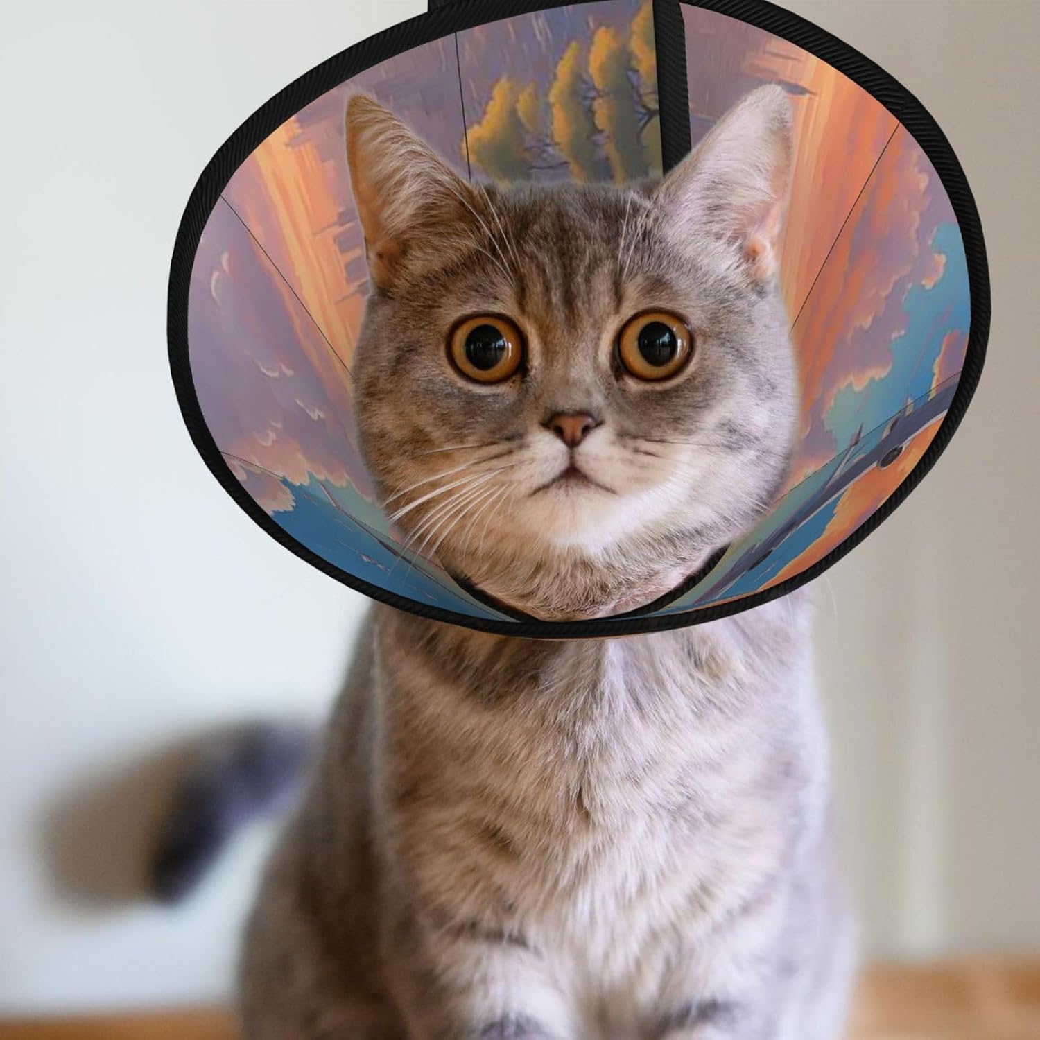Custom Pet Cones - Unique Design Cat & Dog Cone, Collar for Post-Surgery Recovery, Adjustable Neck Skylineflightdawn Large