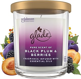 Glade Candle Jar, Large Candle Infused with Essential Oils, Air Freshener for Home Decor, Black Plum & Berries, 16oz