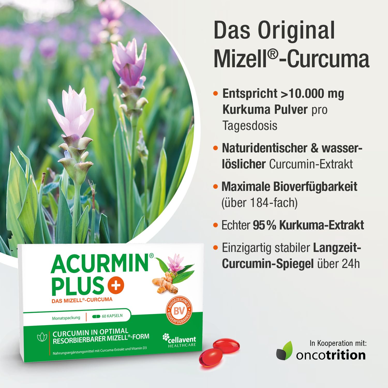 185x effektivere Kurkuma Kapseln - 10.000 mg Kurkuma Pulver/Tag - Kurkuma hochdosiert ohne Piperin - Mizell Curcuma - 95% Curcumin - mit Vitamin D3 für Knochen - Acurmin PLUS, 60 Kapseln