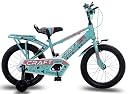 longrun Crafter 16T Kids Bicycle for 4-7 Years with Training Wheels gallery image