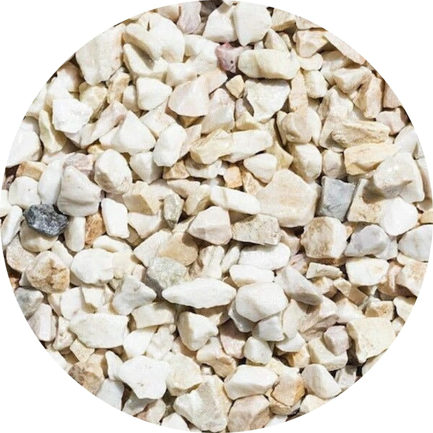 Decorative Garden Stones, Pebbles, Cobbles, Slate, Paddlestones, Gravel, Chippings, Aggregate, 20 kg, Various Colours (Cappucino chipping 8-16mm)