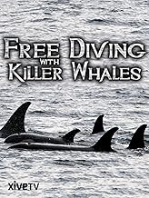 Free Diving with Killer Whales