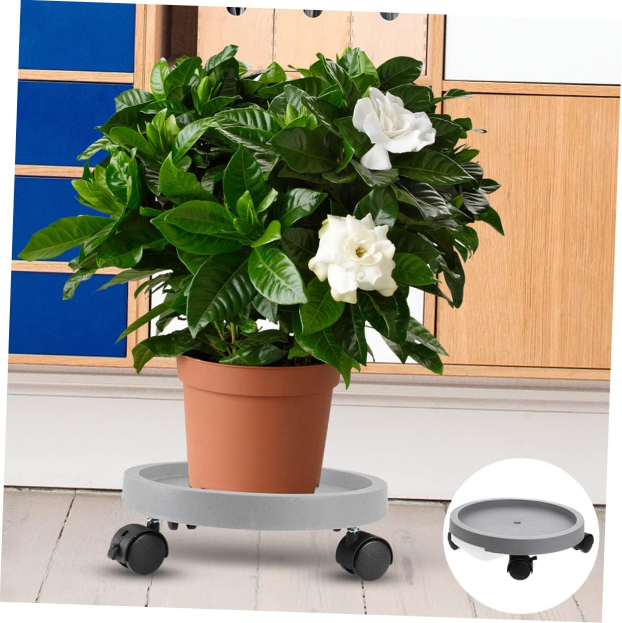 BESPORTBLE Flower Pot Tray with Water Drainage Grey Mobile Plant Holder Base and Stylish Pot Saucer for Use Easy to Clean and Move