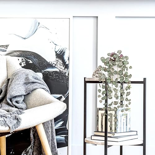 Vista 5 de Briful Plantas artificiales para interiores, plantas colgantes falsas con maceta de burbujas, vegetación sintética en maceta, plantas pequeñas