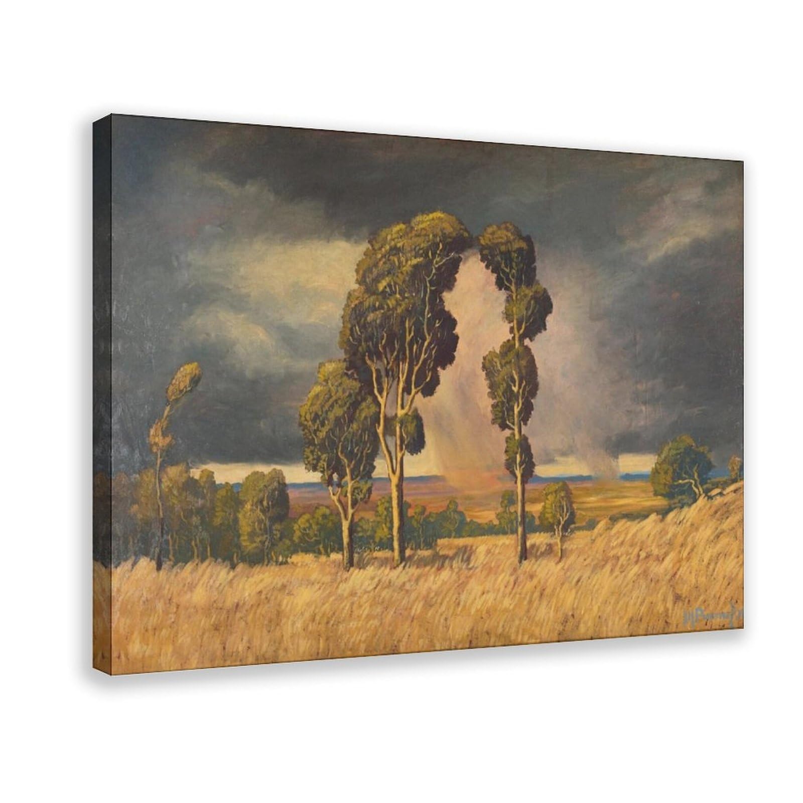 Impression sur toile Summer Rain Pierneef décoration murale d'art premium - 8