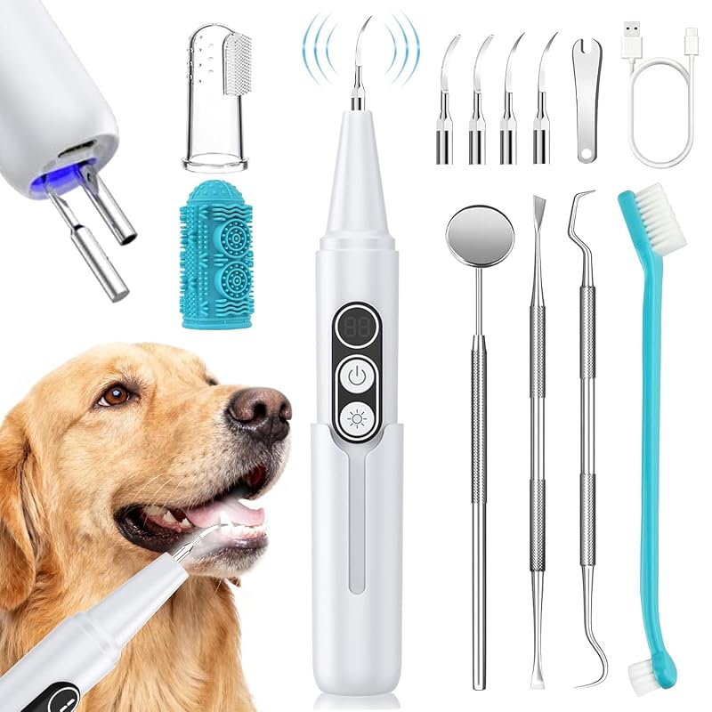 Removedor Ultrassônico de Tártaro para Cães PATWING com Luz LED e Câmara de Higienização UV JYQ1