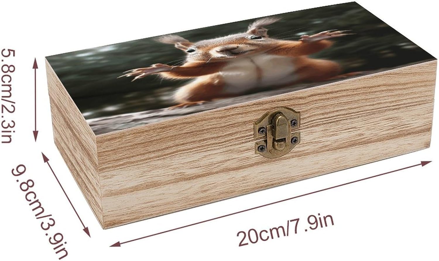 Squirrel Funny Animal Wooden Box Sturdy Vintage Storage Box with Hinged Lid Exquisite Wood Keepsake Boxes Large Jewelry Case Cute Trinket Holder Unique Gift for Men Women image 2