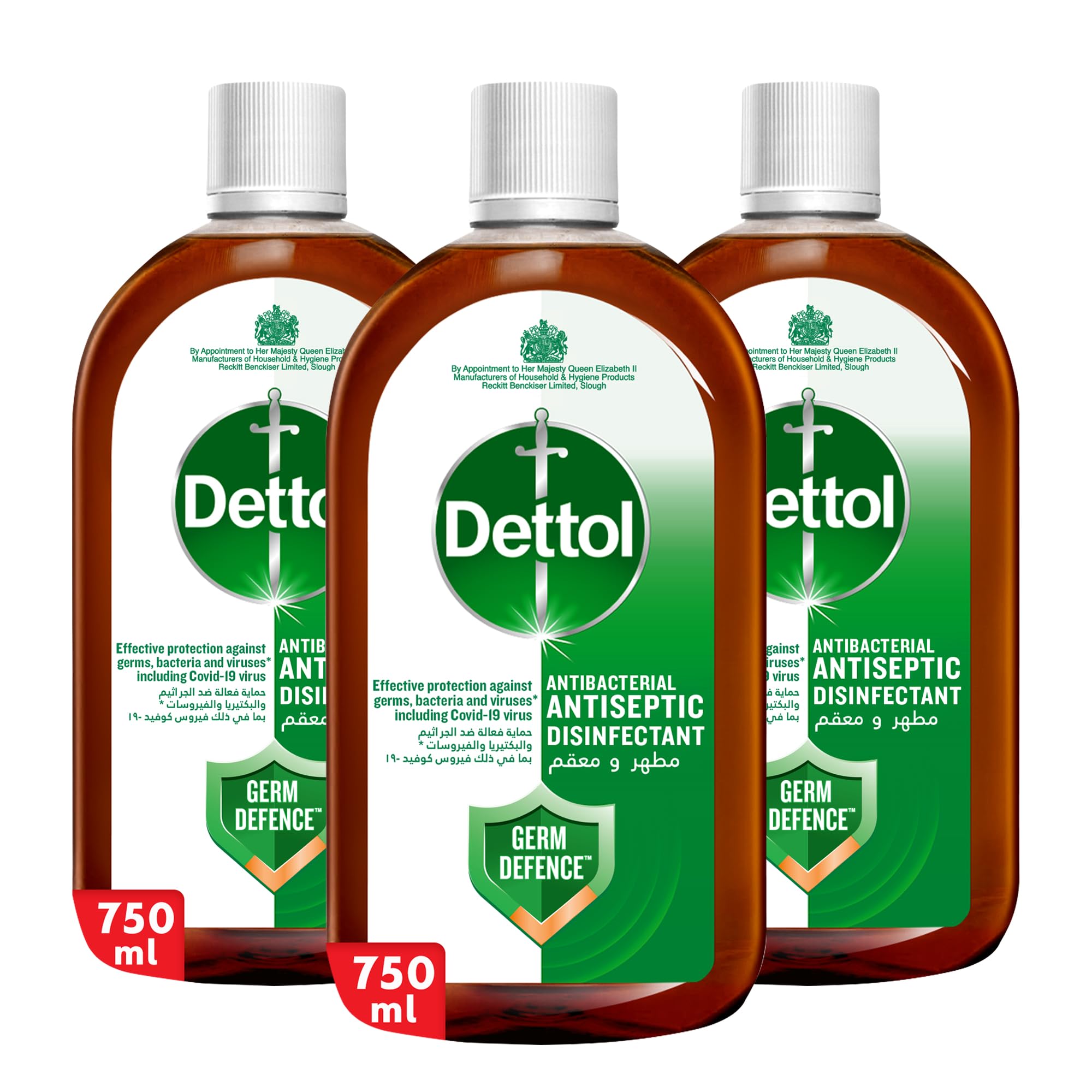 DettolAntiseptic Antibacterial Disinfectant Liquid for Effective Germ Protection & Personal Hygiene, Used in Floor Cleaning, Bathing and Laundry, 750ml (Pack of 3) (Packaging may vary)
