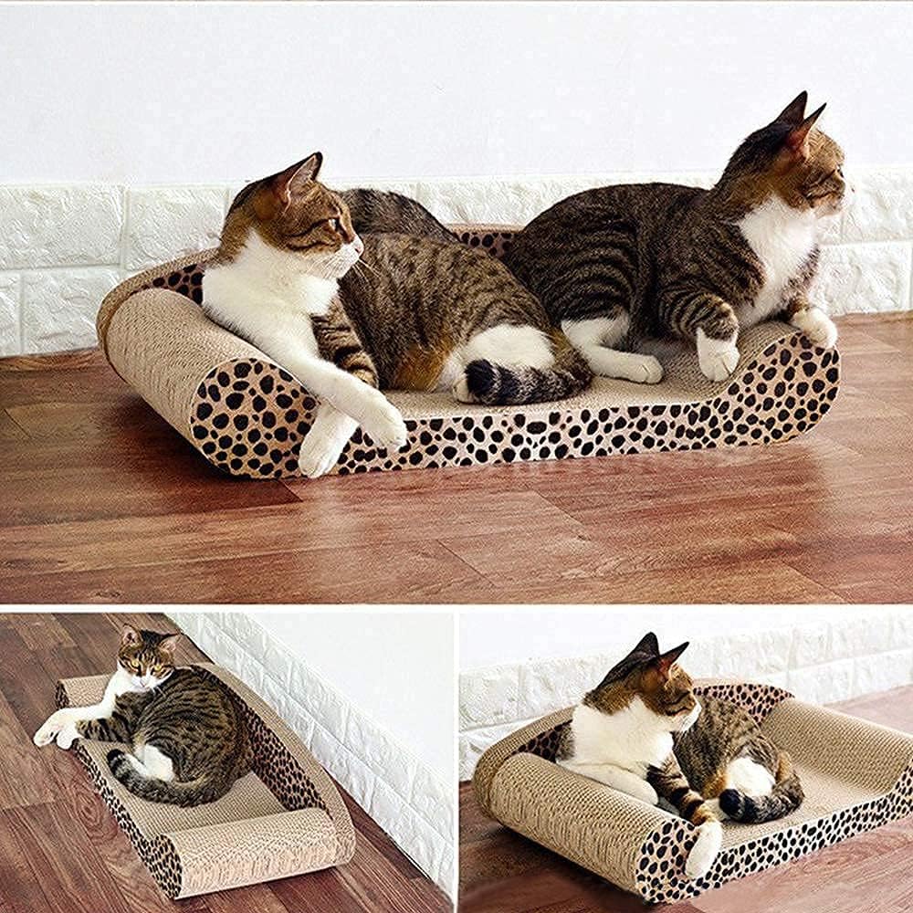 wainwright grain free