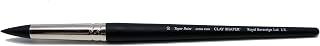 Colour Shaper – Taper Point 10 extra firme Pintura Shaper – Cepillo, color negro