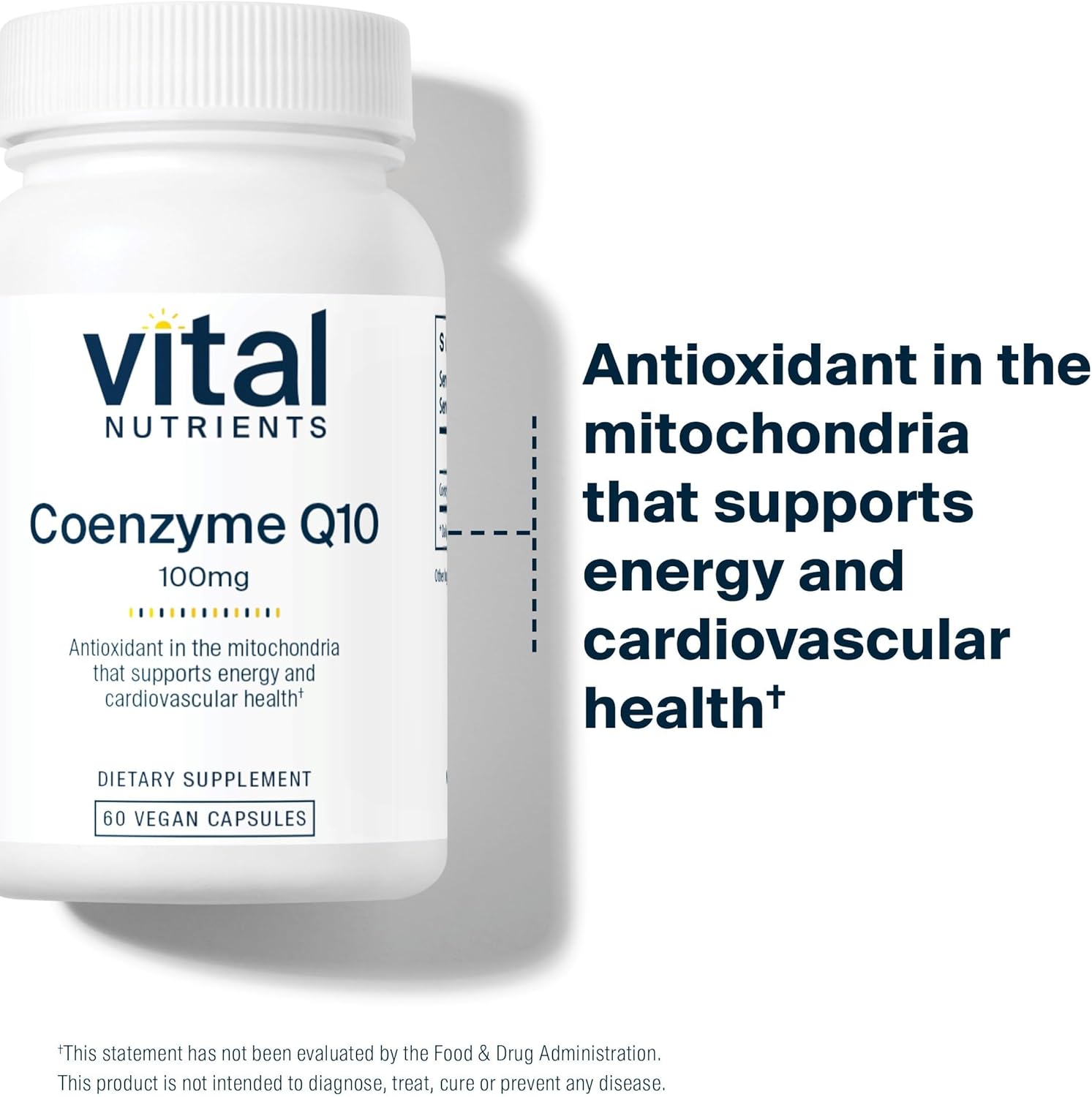 Vital Nutrients CoQ10 100mg - Vegan Supplement - CoEnzyme Q10 from Ubiquinone - Potent Antioxidant to Support Heart Health and Energy Levels* - Gluten, Dairy and Soy Free - Non-GMO - 60 Capsules