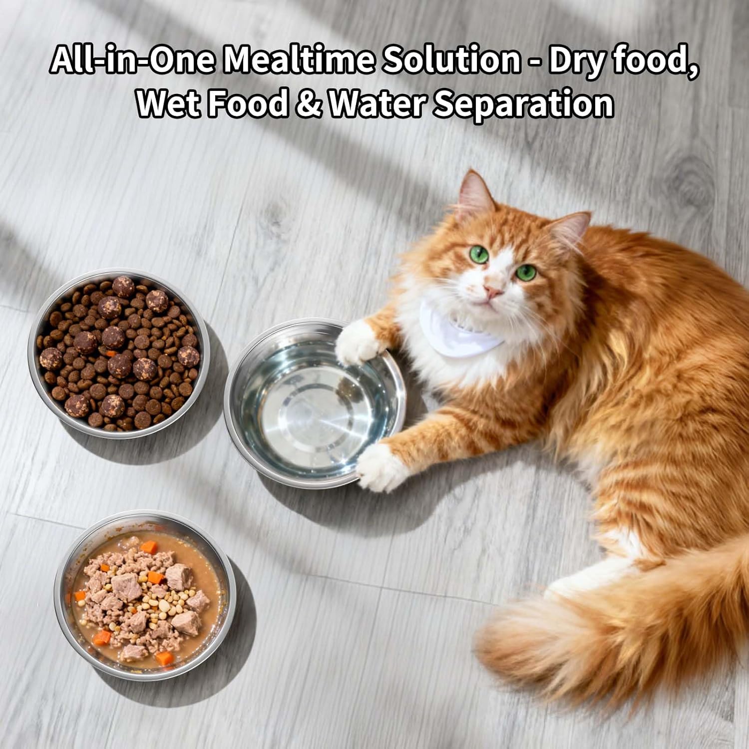 Tifanso 6PCS Stainless Steel Cat Bowls Dishes, 5.6” Metal Shallow Wide Whisker Friendly Cat Food Water Feeding Bowl, Kitten Plates, Basic Indoor Pet Food Tray, Dishwasher Safe - Image 6