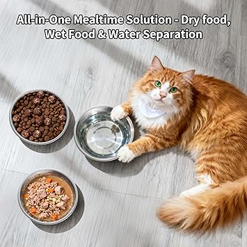 Tifanso 6PCS 5.6 Stainless Steel Whisker Friendly Cat Food & Water Bowls