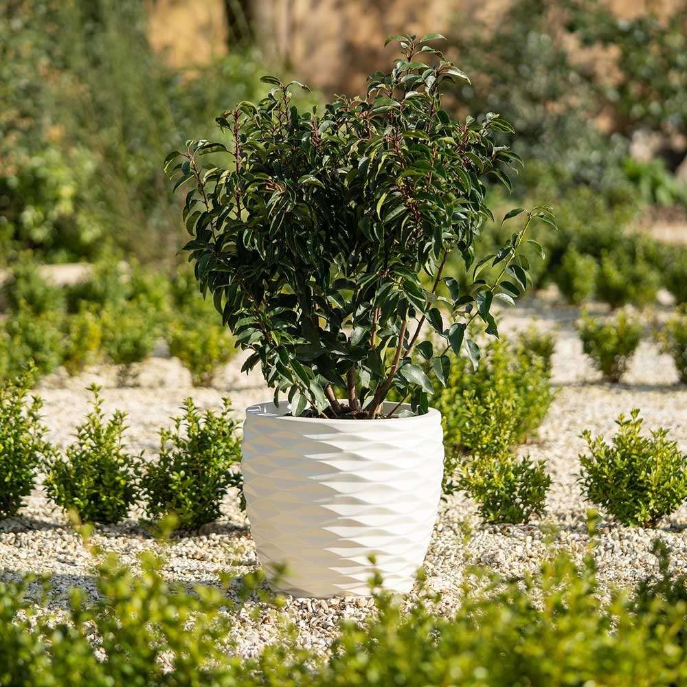 Primrose Small Plant Pot Round Bilbao Flower Pot Plastic Planter In Ivory 34Cm (13.4In)