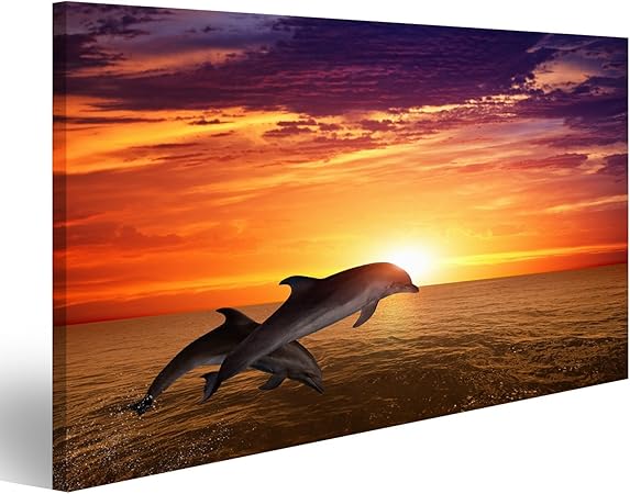 Islandburner Bild Bilder Auf Leinwand Marine Leben Hintergrund Springen Delfine Schone Rote Sonnenuntergang Am Meer Wandbild Poster Leinwandbild Epo Amazon De Kuche Haushalt