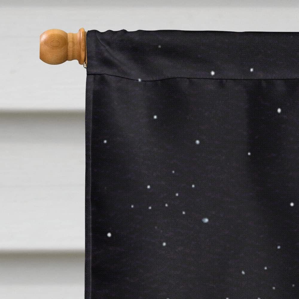Caroline's Treasures SS8492CHF Starry Night Whippet Flag Canvas, Large, Multicolor