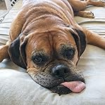 Review Image by ZenGardener ZenGardener