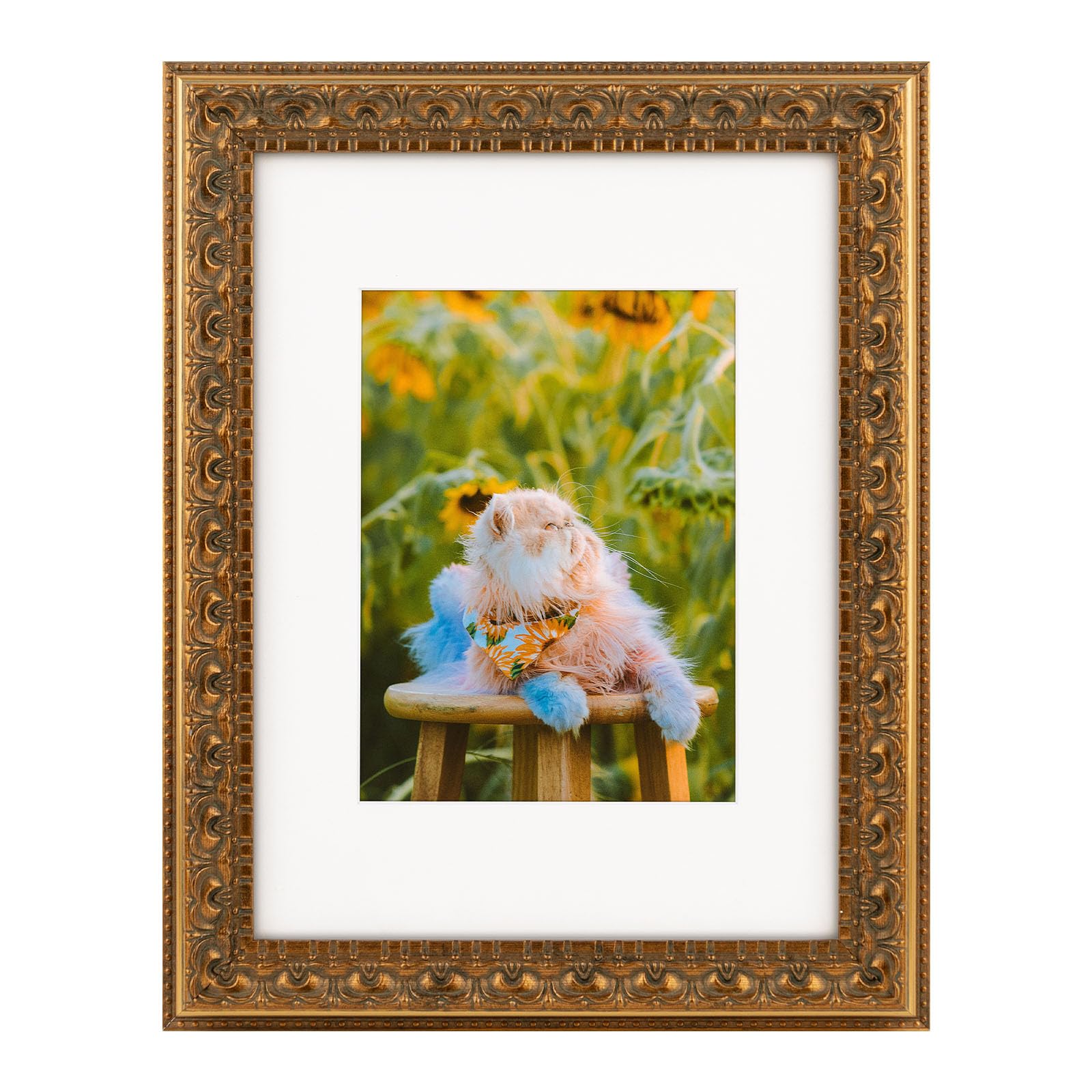 Cadre photo orné pour immortaliser vos plus beaux moments de vie en famille