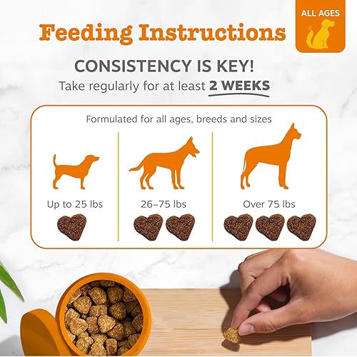 Miniatura 4 de Zesty Paws Probióticos para perros, enzimas digestivas flora intestinal, salud digestiva, diarrea y apoyo intestinal, DE111, probióticos para perros