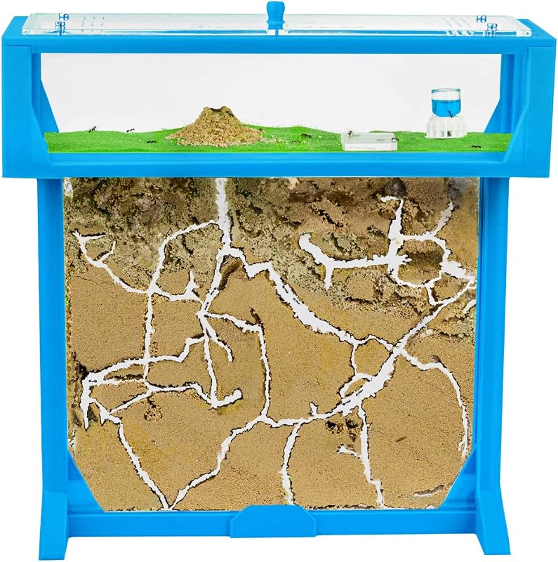 AntHouse - Formicaio T 3D 25x20x1,5 cm | Fattoria di Formiche Azzuro | Formiche Incluse con Regina