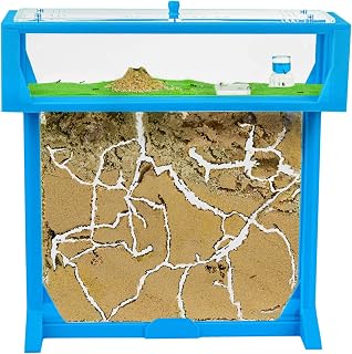 AntHouse.es - Hormiguero Natural de Arena | Kit 3D T Big 25x20x1,5 cm | Granja de Hormigas Azul | Colonia de Hormigas Incluida