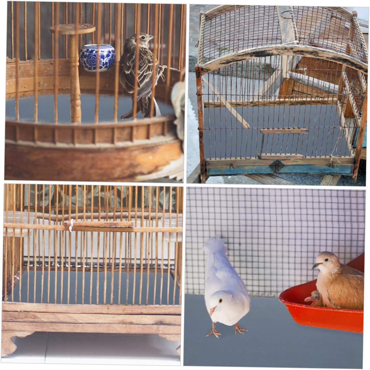 COLLBATH 5pcs Bird Cage Liner Sheets Replaceable Sandpaper Pads for Bird Cages and Easy to Trim for Clean and Healthy