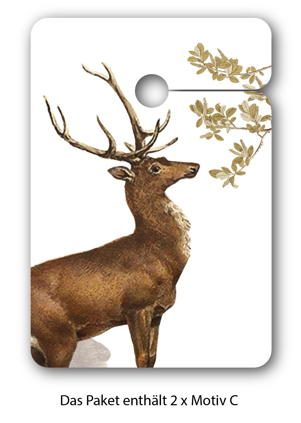 Elegante Dankes Geschenk Anhänger | Papieranhänger | Geschenk Karten (64Stk) mit Eichhörnchen und Hirsch: Vielen Dank