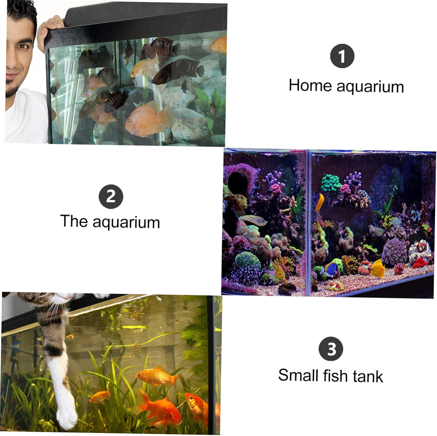 BESPORTBLE 5pcs Aquarium Grid Divider Plastic Clamps Tank Separator Clips Fish Tank Divider Clamps