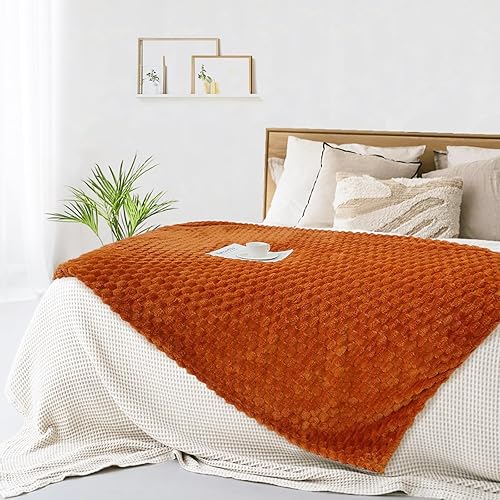 Miniatura 8 de BNuitland Manta de franela verde salvia (50 x 70 pulgadas), forro polar de 300 GSM, acogedora, cálida, suave, decoración del hogar, manta ligera