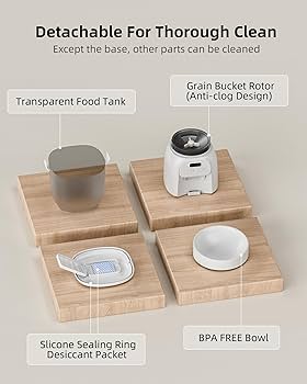 Pet Supplies : LAMPICK Automatic Cat Feeder, 4L Detachable