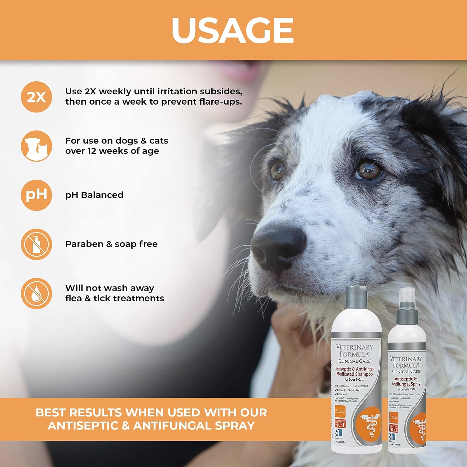 Veterinary Formula Clinical Care Antiseptic and Antifungal Shampoo for Dogs and Cats, 16 oz – Medicated Shampoo to Relieve, Heal and Soothe Fungal and Bacterial Skin Infections, White (FG01320) : Everything Else