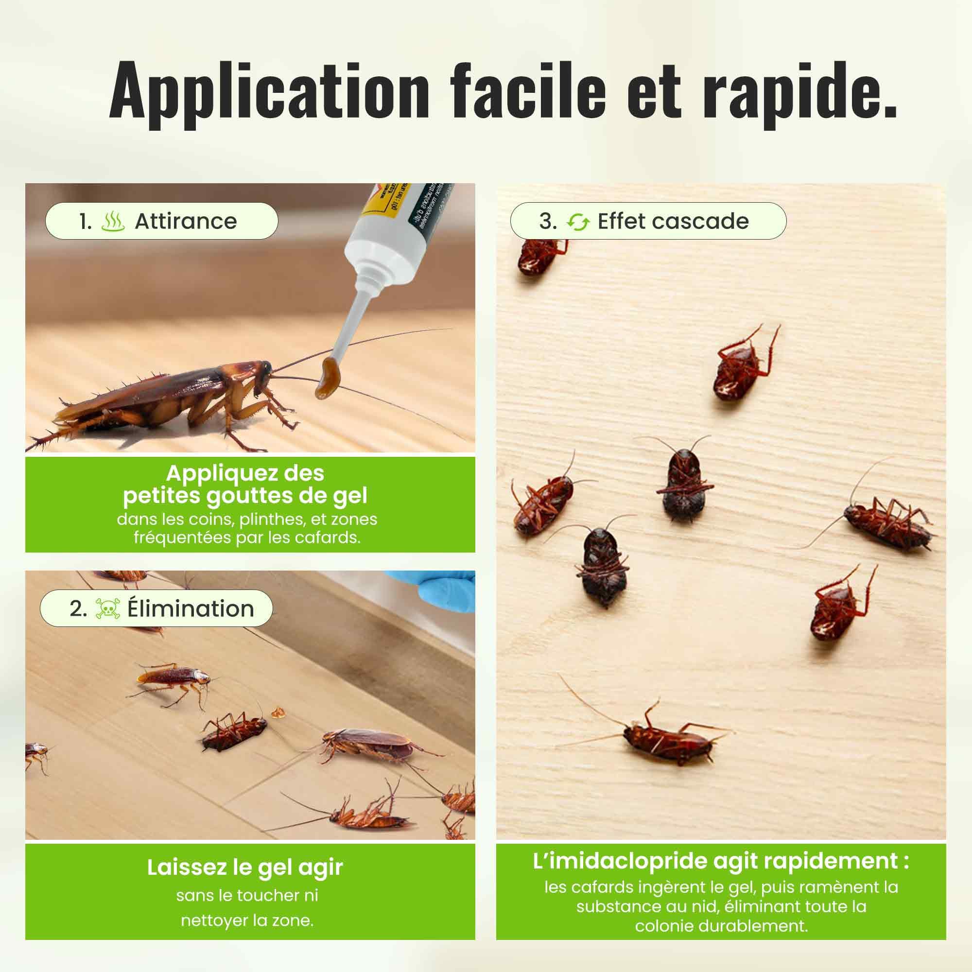 Gel Insecticide Anti Cafards et Blattes [Made in UE], Produit pour Blattes de qualité Professionnelle, Gel Puissant en seringue, Appât idéal pour recoins Difficiles - Lot de 2 * 10g