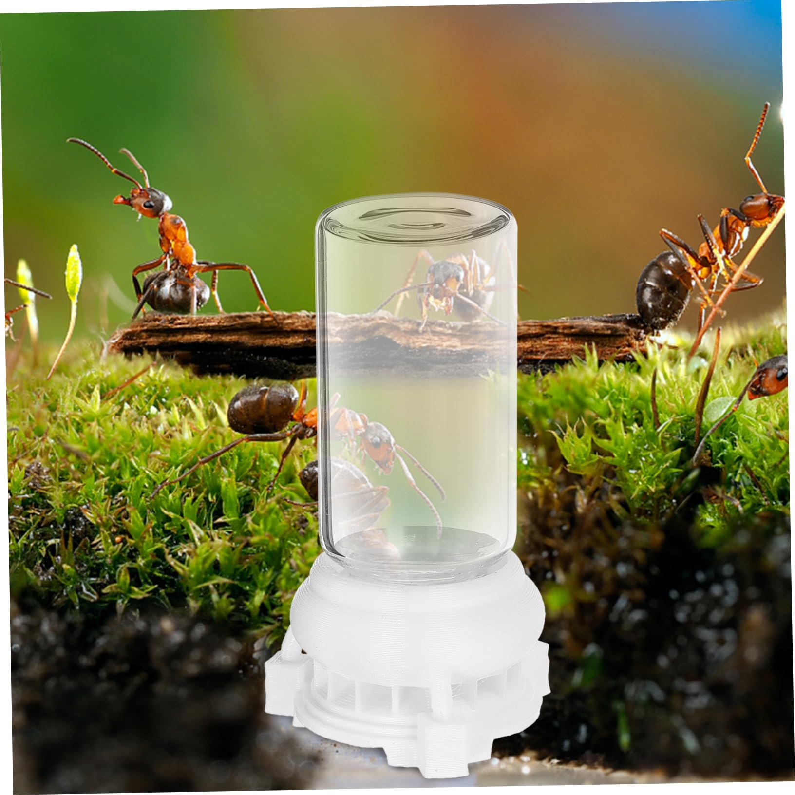Mierennest Boerderij Hoge Beker Gips Mier Nest Formicarium Voeding Hydraterende Nest Habitat Mier Kasteel Huis For Kind Diy Speelgoedcadeau (Color : Yellow