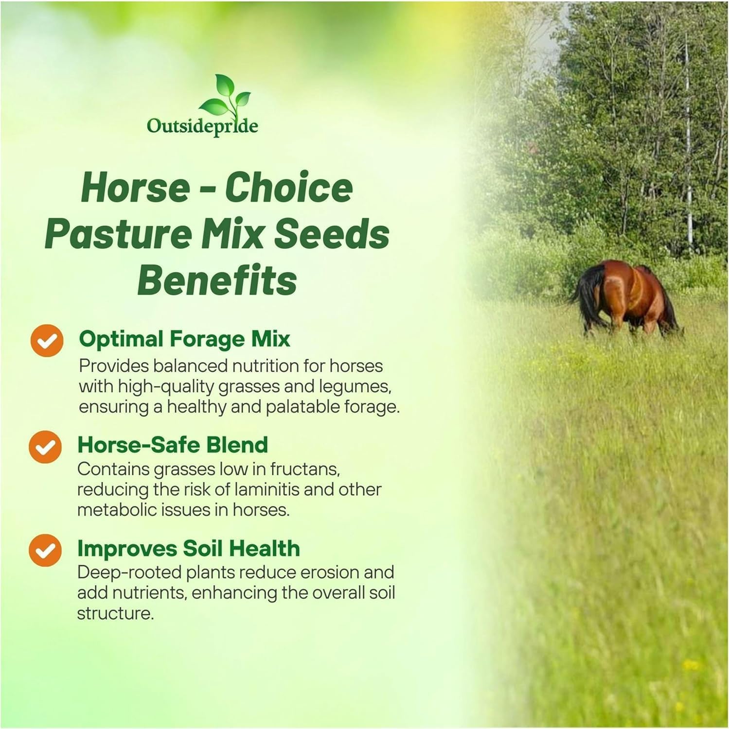 Outsidepride Horse Choice Pasture & Livestock Grass Seed Mix - 5 Lbs Perennial, Drought Tolerant, Cold Hardy, & High Yield Lawn Grass Seeds for Grazing, Hay, Silage, & Greenchop