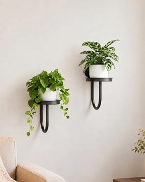 GENTINGBRO Plant Stands Hanging Planters for Indoor Plants Wall Plant Holder Plant Hanger Indoor Wall Planter Window Plant Hanger Plant Decor Black 2 Pack