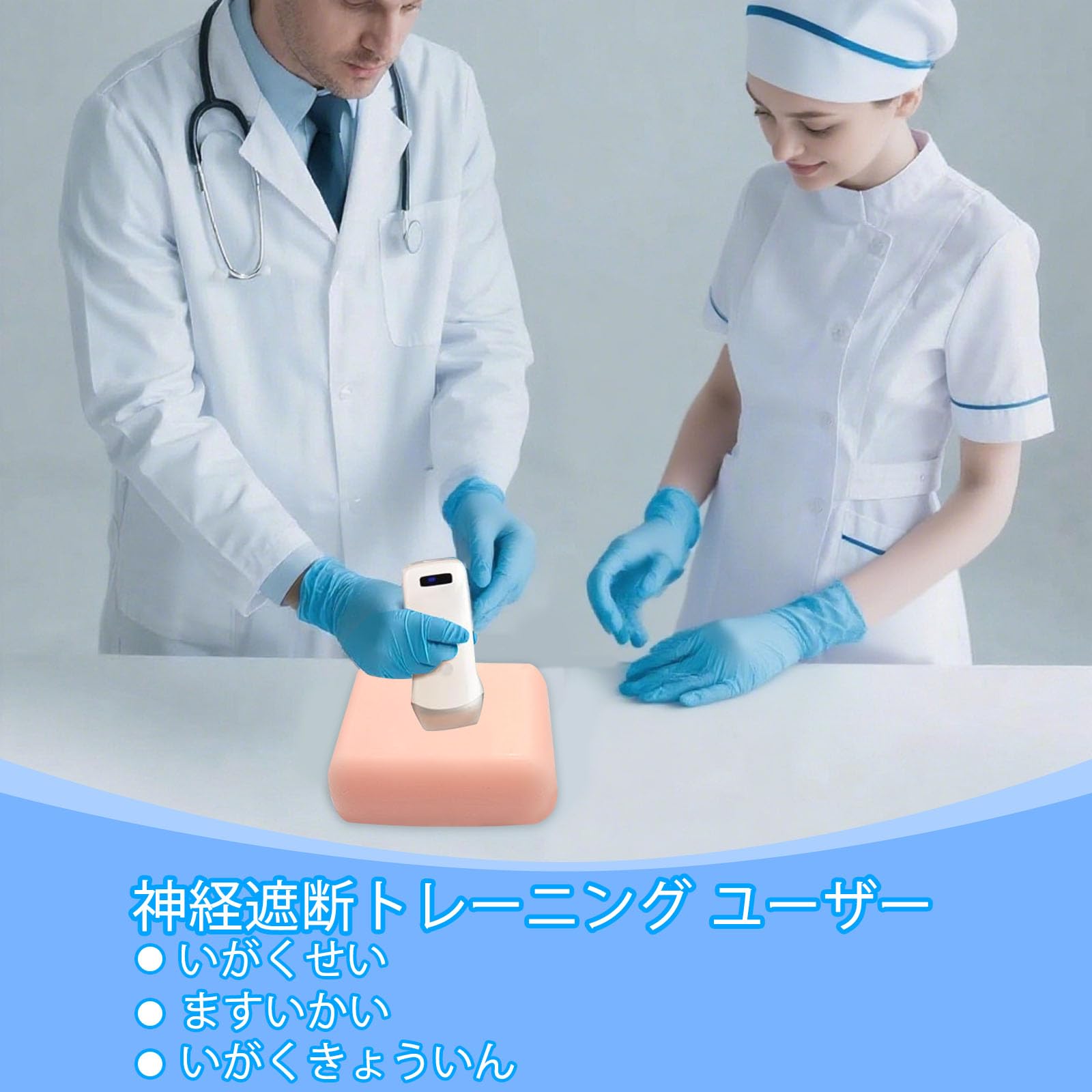 Amazon.co.jp: 超音波ガイド下神経ブロック訓練モデル - 局所麻酔教育