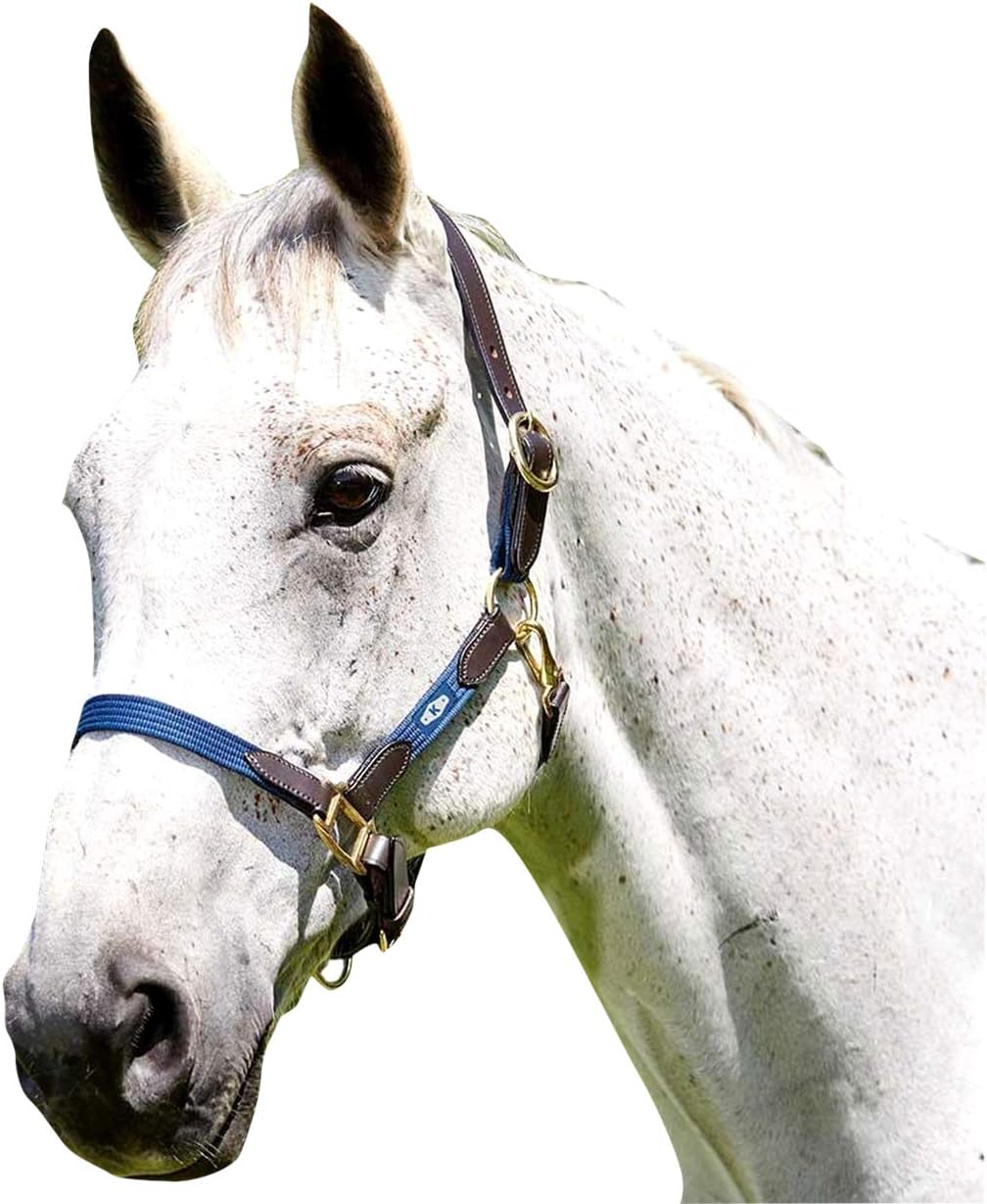 Kincade Leather Web Halter