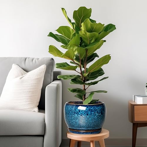 Miniatura 2 de SQOWL Maceta de cerámica de 10 pulgadas con orificio de drenaje y platillo, maceta decorativa para plantas de interior y exterior, maceta redonda