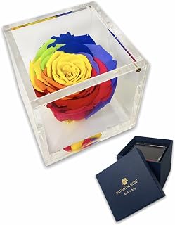 PassioneBlom.it S 1800 Luxury Rose Stabiliate Vere in Cube Often Luxury 8 and Luxury Gift Box, Cube Stabilized Pink Multicolor, Eternal Pink