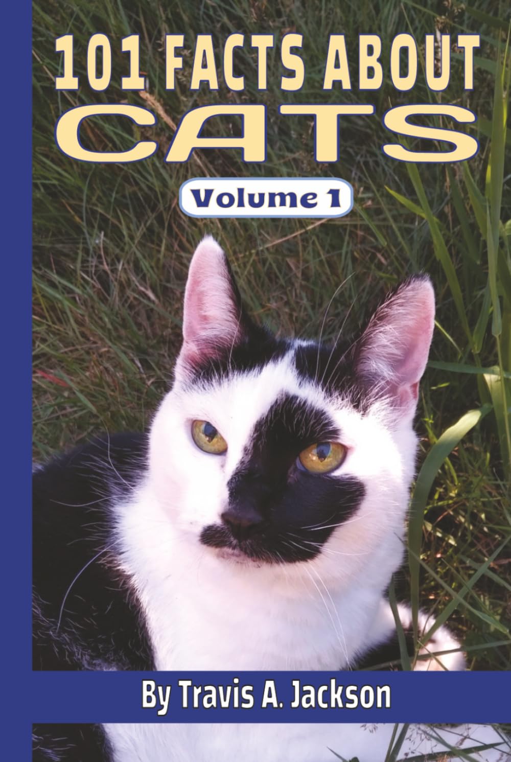 101 FACTS ABOUT CATS • Amazing Things You Didn’t Know About Felines: Fun, Surprising, & Interesting Cat Facts • For Kids, Teens, Adults, & Families • ... (Family Books: By BFI & Travis A. Jackson)